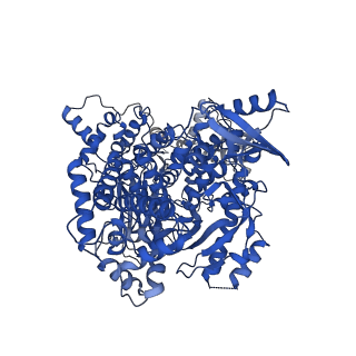 27627_8dp0_A_v1-0
Structure of p110 gamma bound to the Ras inhibitory nanobody NB7