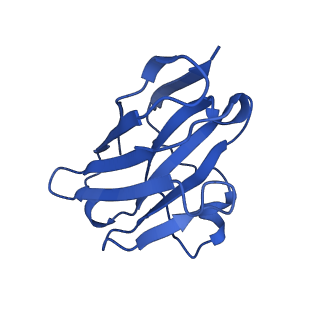 27627_8dp0_B_v1-0
Structure of p110 gamma bound to the Ras inhibitory nanobody NB7