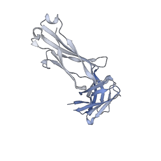 27628_8dp1_E_v1-0
Cryo-EM structure of HIV-1 Env(BG505.T332N SOSIP) in complex with DH1030.1 Fab