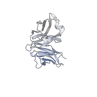 27628_8dp1_F_v1-0
Cryo-EM structure of HIV-1 Env(BG505.T332N SOSIP) in complex with DH1030.1 Fab