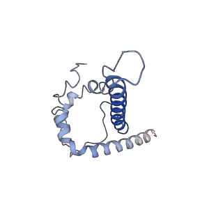 27628_8dp1_H_v1-0
Cryo-EM structure of HIV-1 Env(BG505.T332N SOSIP) in complex with DH1030.1 Fab