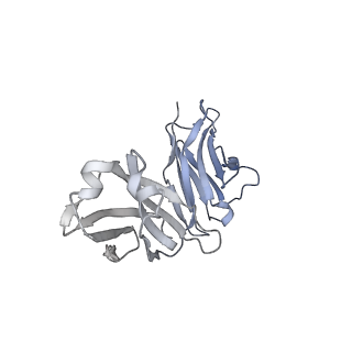 27628_8dp1_M_v1-0
Cryo-EM structure of HIV-1 Env(BG505.T332N SOSIP) in complex with DH1030.1 Fab