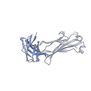 27628_8dp1_N_v1-0
Cryo-EM structure of HIV-1 Env(BG505.T332N SOSIP) in complex with DH1030.1 Fab