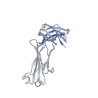 27628_8dp1_R_v1-0
Cryo-EM structure of HIV-1 Env(BG505.T332N SOSIP) in complex with DH1030.1 Fab