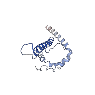 27628_8dp1_S_v1-0
Cryo-EM structure of HIV-1 Env(BG505.T332N SOSIP) in complex with DH1030.1 Fab