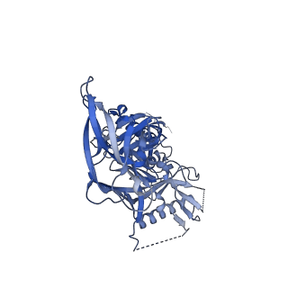 27628_8dp1_W_v1-0
Cryo-EM structure of HIV-1 Env(BG505.T332N SOSIP) in complex with DH1030.1 Fab