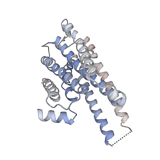 27633_8dpf_A_v1-1
Cryo-EM structure of the 5HT2C receptor (INI isoform) bound to lorcaserin