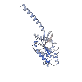 27633_8dpf_B_v1-1
Cryo-EM structure of the 5HT2C receptor (INI isoform) bound to lorcaserin