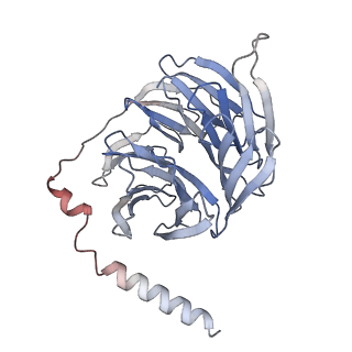 27633_8dpf_C_v1-1
Cryo-EM structure of the 5HT2C receptor (INI isoform) bound to lorcaserin