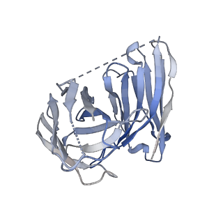 27633_8dpf_E_v1-1
Cryo-EM structure of the 5HT2C receptor (INI isoform) bound to lorcaserin