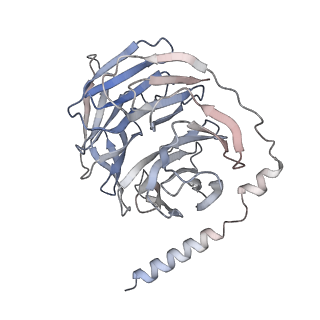 27634_8dpg_C_v1-1
Cryo-EM structure of the 5HT2C receptor (INI isoform) bound to psilocin