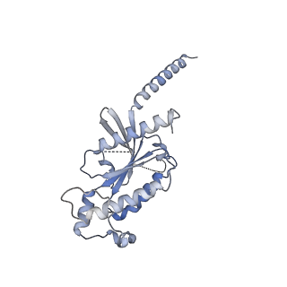 27635_8dph_B_v1-1
Cryo-EM structure of the 5HT2C receptor (VGV isoform) bound to lorcaserin