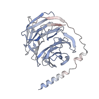 27635_8dph_C_v1-1
Cryo-EM structure of the 5HT2C receptor (VGV isoform) bound to lorcaserin