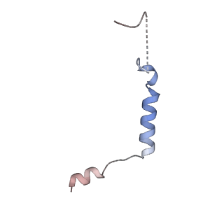 27635_8dph_D_v1-1
Cryo-EM structure of the 5HT2C receptor (VGV isoform) bound to lorcaserin