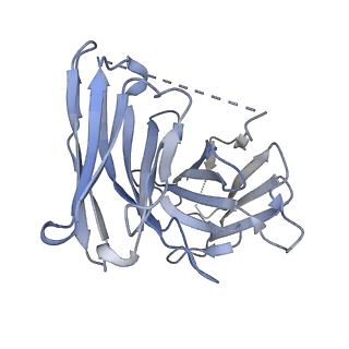 27635_8dph_E_v1-1
Cryo-EM structure of the 5HT2C receptor (VGV isoform) bound to lorcaserin