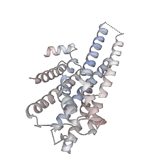 27636_8dpi_A_v1-1
Cryo-EM structure of the 5HT2C receptor (VSV isoform) bound to lorcaserin