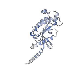 27636_8dpi_B_v1-1
Cryo-EM structure of the 5HT2C receptor (VSV isoform) bound to lorcaserin