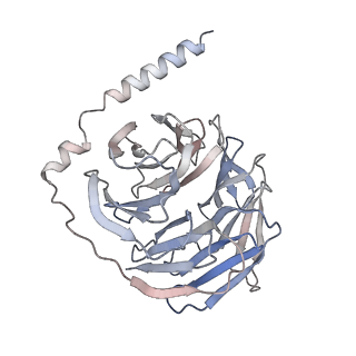 27636_8dpi_C_v1-1
Cryo-EM structure of the 5HT2C receptor (VSV isoform) bound to lorcaserin