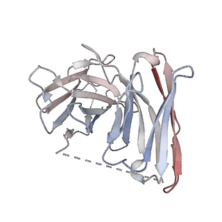 27636_8dpi_E_v1-1
Cryo-EM structure of the 5HT2C receptor (VSV isoform) bound to lorcaserin