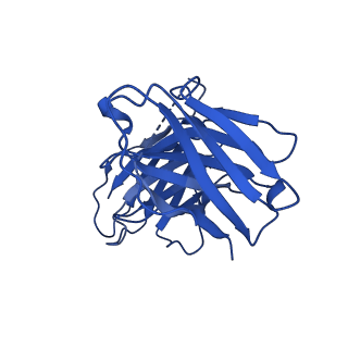27637_8dpl_C_v1-1
Structure of EBOV GP lacking the mucin-like domain with 2.1.1D5 scFv and 6D6 scFv bound