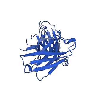 27637_8dpl_H_v1-1
Structure of EBOV GP lacking the mucin-like domain with 2.1.1D5 scFv and 6D6 scFv bound