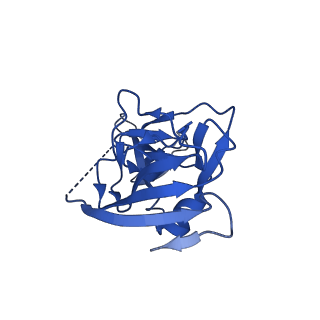 27638_8dpm_A_v1-1
Structure of EBOV GP lacking the mucin-like domain with 9.20.1A2 Fab and 6D6 scFv bound
