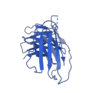 27638_8dpm_C_v1-1
Structure of EBOV GP lacking the mucin-like domain with 9.20.1A2 Fab and 6D6 scFv bound