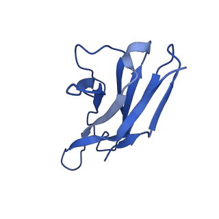 27638_8dpm_E_v1-1
Structure of EBOV GP lacking the mucin-like domain with 9.20.1A2 Fab and 6D6 scFv bound