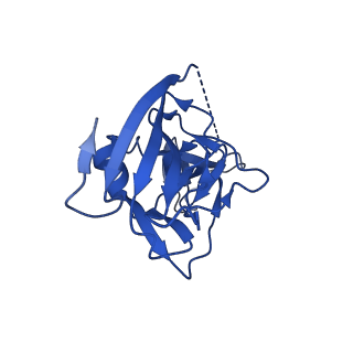 27638_8dpm_F_v1-1
Structure of EBOV GP lacking the mucin-like domain with 9.20.1A2 Fab and 6D6 scFv bound