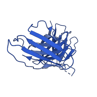 27638_8dpm_H_v1-1
Structure of EBOV GP lacking the mucin-like domain with 9.20.1A2 Fab and 6D6 scFv bound