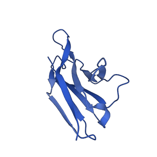 27638_8dpm_J_v1-1
Structure of EBOV GP lacking the mucin-like domain with 9.20.1A2 Fab and 6D6 scFv bound
