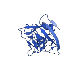 27638_8dpm_K_v1-1
Structure of EBOV GP lacking the mucin-like domain with 9.20.1A2 Fab and 6D6 scFv bound