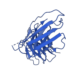 27638_8dpm_M_v1-1
Structure of EBOV GP lacking the mucin-like domain with 9.20.1A2 Fab and 6D6 scFv bound