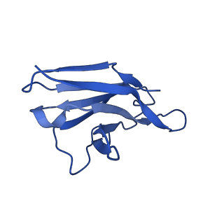 27638_8dpm_O_v1-1
Structure of EBOV GP lacking the mucin-like domain with 9.20.1A2 Fab and 6D6 scFv bound