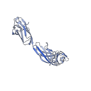 27641_8dps_A_v1-0
The structure of the interleukin 11 signalling complex, truncated gp130