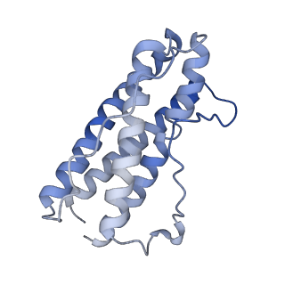 27641_8dps_B_v1-0
The structure of the interleukin 11 signalling complex, truncated gp130