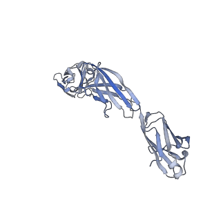 27641_8dps_D_v1-0
The structure of the interleukin 11 signalling complex, truncated gp130
