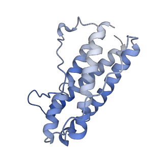27641_8dps_E_v1-0
The structure of the interleukin 11 signalling complex, truncated gp130