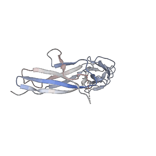 27641_8dps_F_v1-0
The structure of the interleukin 11 signalling complex, truncated gp130