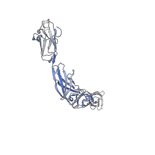 27642_8dpt_A_v1-0
The structure of the IL-11 signalling complex, with full-length extracellular gp130