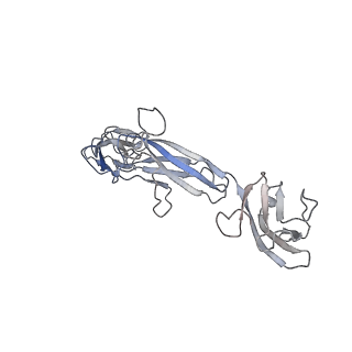 27642_8dpt_C_v1-0
The structure of the IL-11 signalling complex, with full-length extracellular gp130
