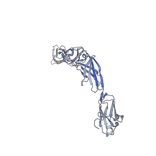 27642_8dpt_D_v1-0
The structure of the IL-11 signalling complex, with full-length extracellular gp130
