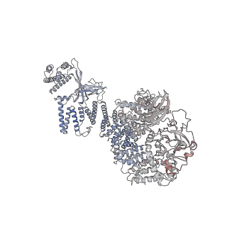 30802_7dpa_A_v1-0
Cryo-EM structure of the human ELMO1-DOCK5-Rac1 complex