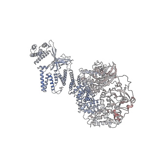 30802_7dpa_A_v1-1
Cryo-EM structure of the human ELMO1-DOCK5-Rac1 complex