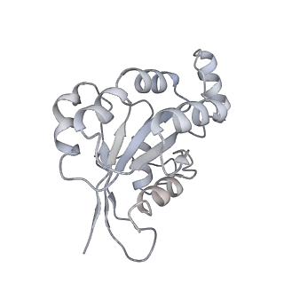 30802_7dpa_B_v1-0
Cryo-EM structure of the human ELMO1-DOCK5-Rac1 complex