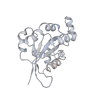 30802_7dpa_B_v1-1
Cryo-EM structure of the human ELMO1-DOCK5-Rac1 complex