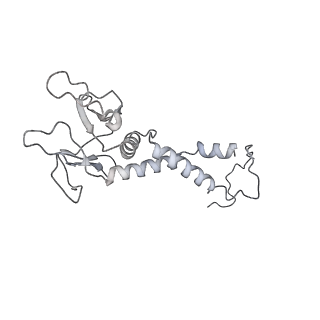 30802_7dpa_C_v1-0
Cryo-EM structure of the human ELMO1-DOCK5-Rac1 complex