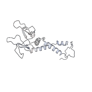 30802_7dpa_C_v1-1
Cryo-EM structure of the human ELMO1-DOCK5-Rac1 complex