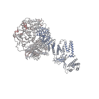 30802_7dpa_D_v1-0
Cryo-EM structure of the human ELMO1-DOCK5-Rac1 complex