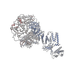 30802_7dpa_D_v1-1
Cryo-EM structure of the human ELMO1-DOCK5-Rac1 complex